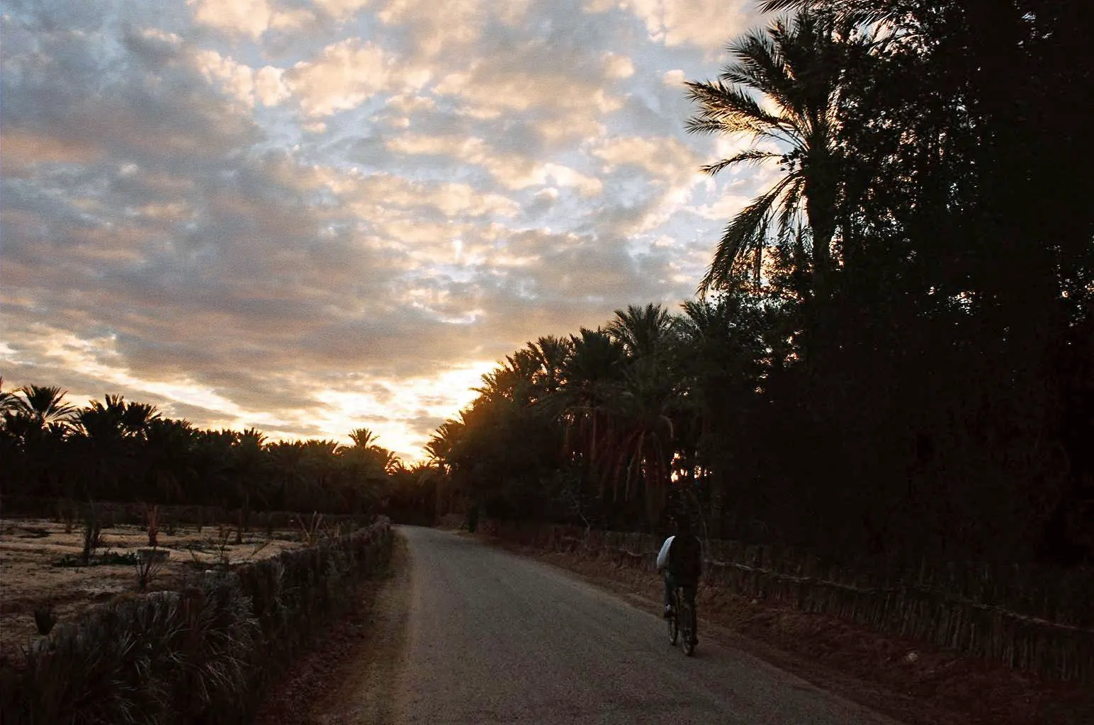 Quand partir en Tunisie ? Le guide mois par mois
